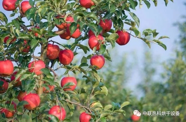 2020果园征地补偿标准是什么？有哪些补偿方式？