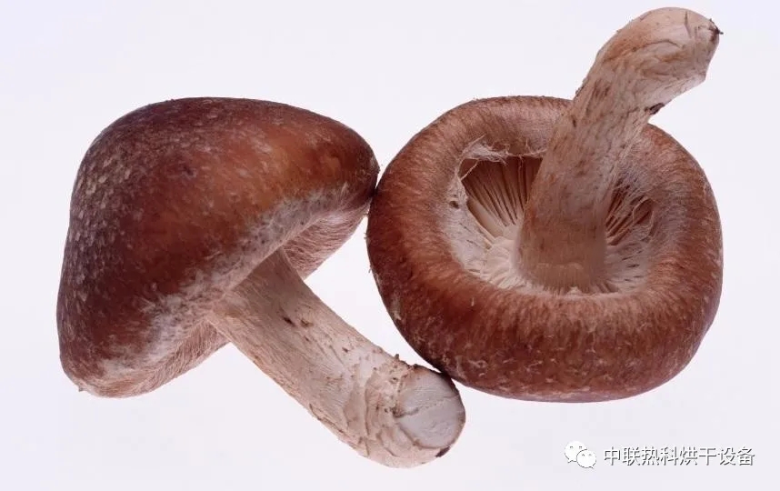 冬季养胃吃什么食物？