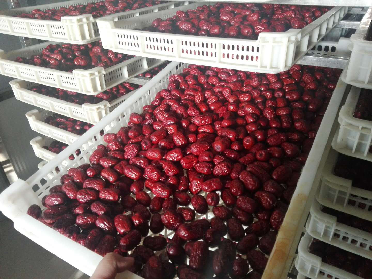 新疆尚果品果业-红枣